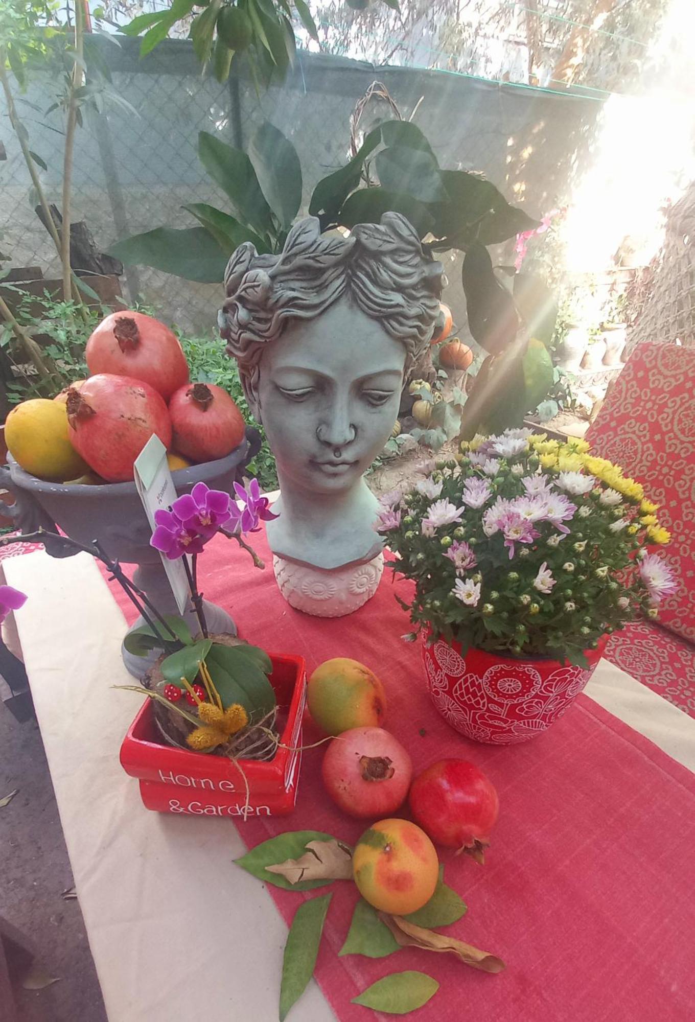 Demeter Rose Stonehouse Pansion Daire Antalya Dış mekan fotoğraf