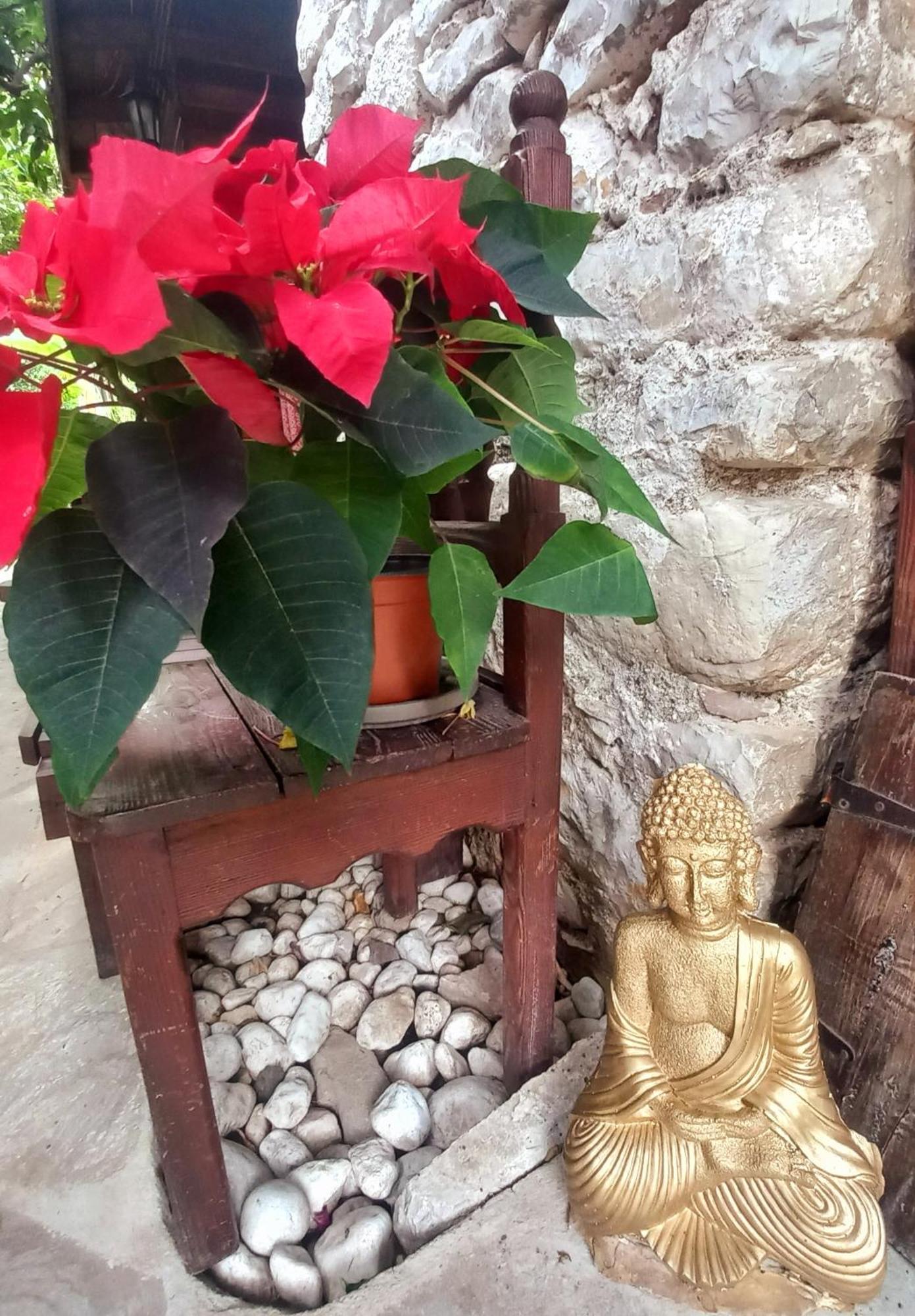 Demeter Rose Stonehouse Pansion Daire Antalya Dış mekan fotoğraf
