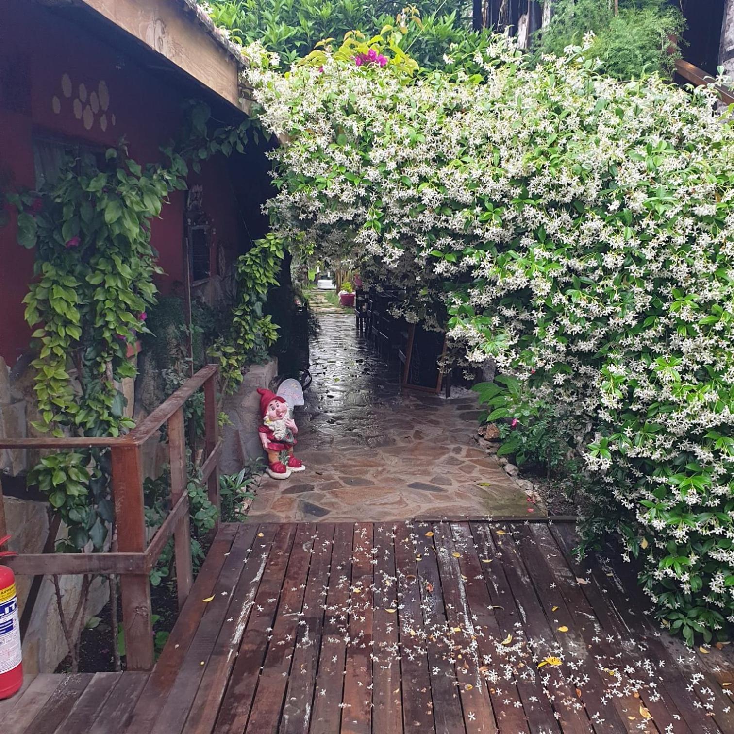 Demeter Rose Stonehouse Pansion Daire Antalya Dış mekan fotoğraf