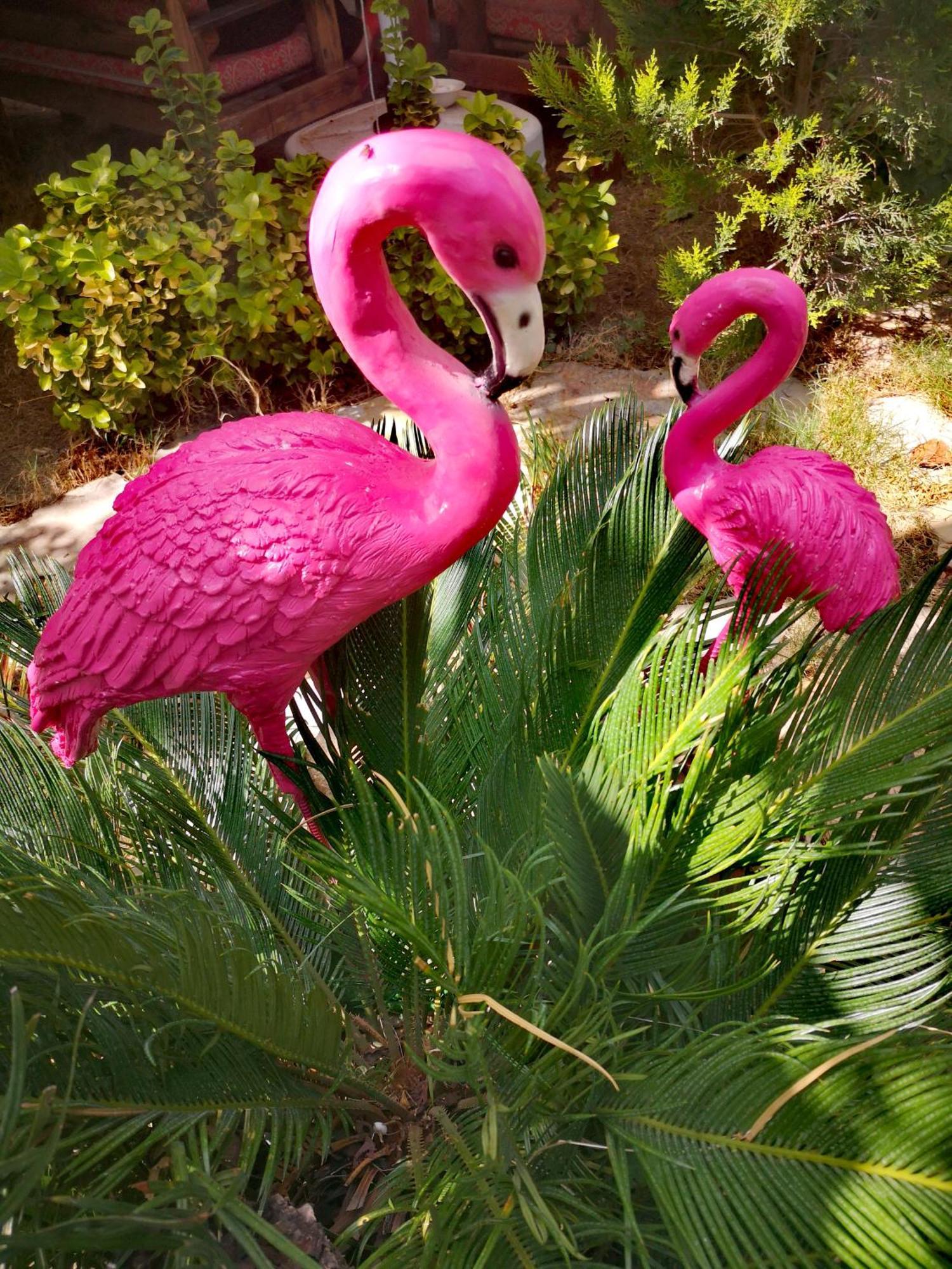 Demeter Rose Stonehouse Pansion Daire Antalya Dış mekan fotoğraf