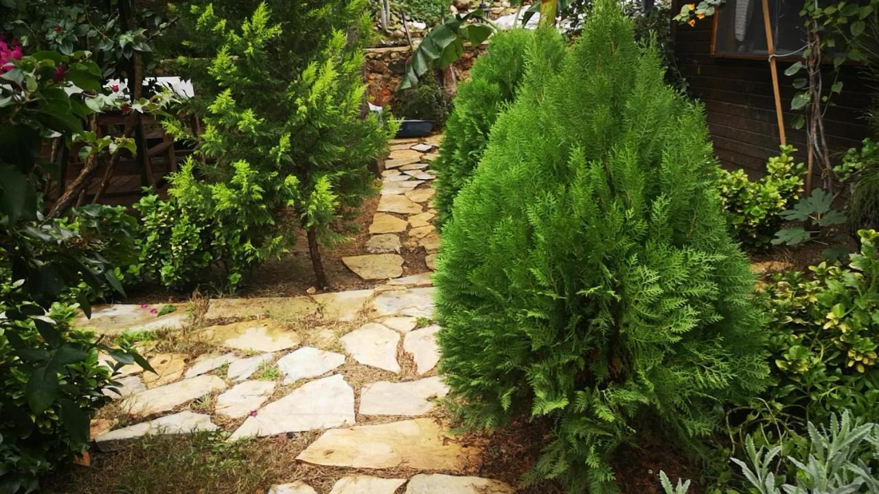 Demeter Rose Stonehouse Pansion Daire Antalya Dış mekan fotoğraf
