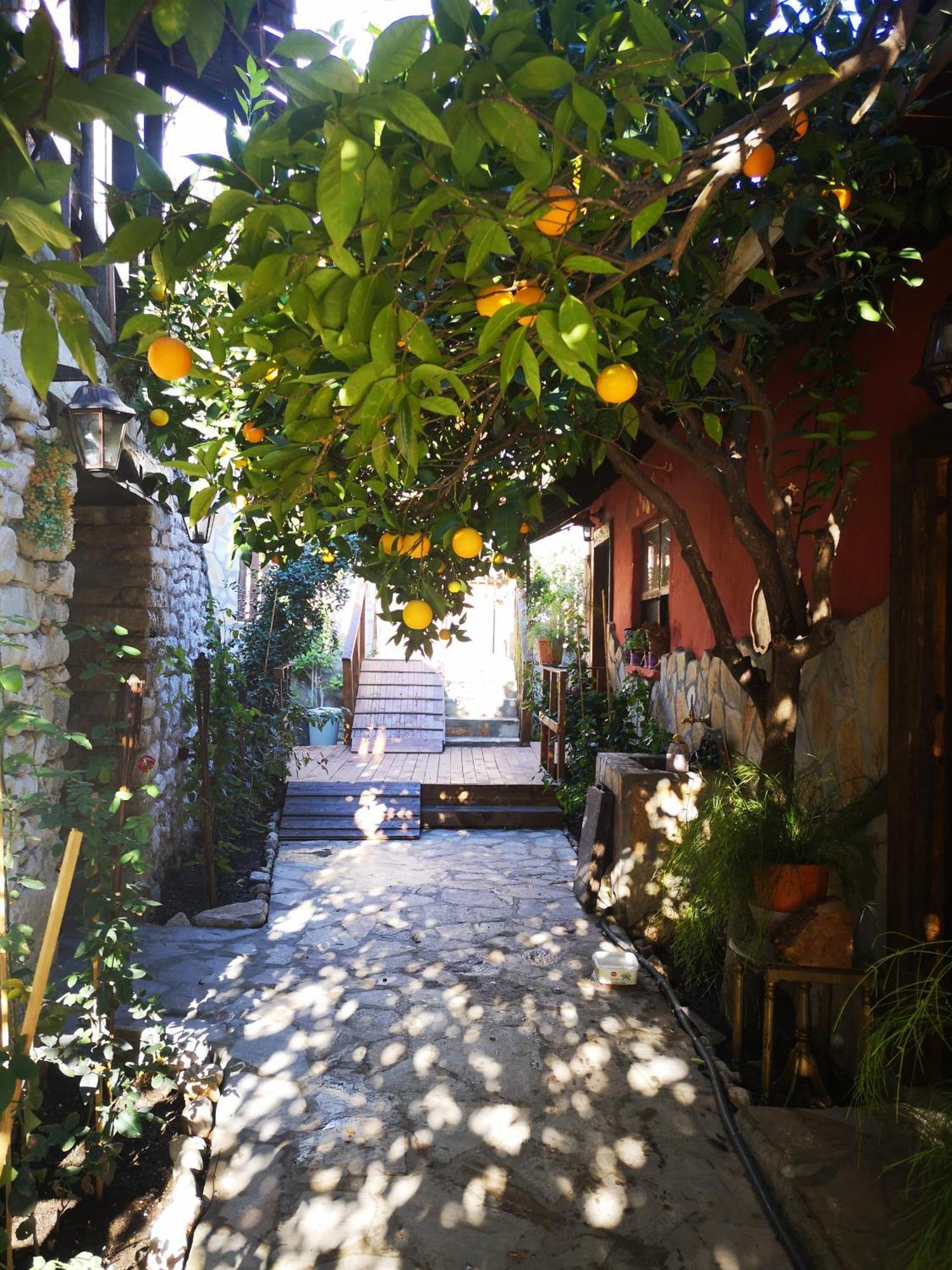 Demeter Rose Stonehouse Pansion Daire Antalya Dış mekan fotoğraf