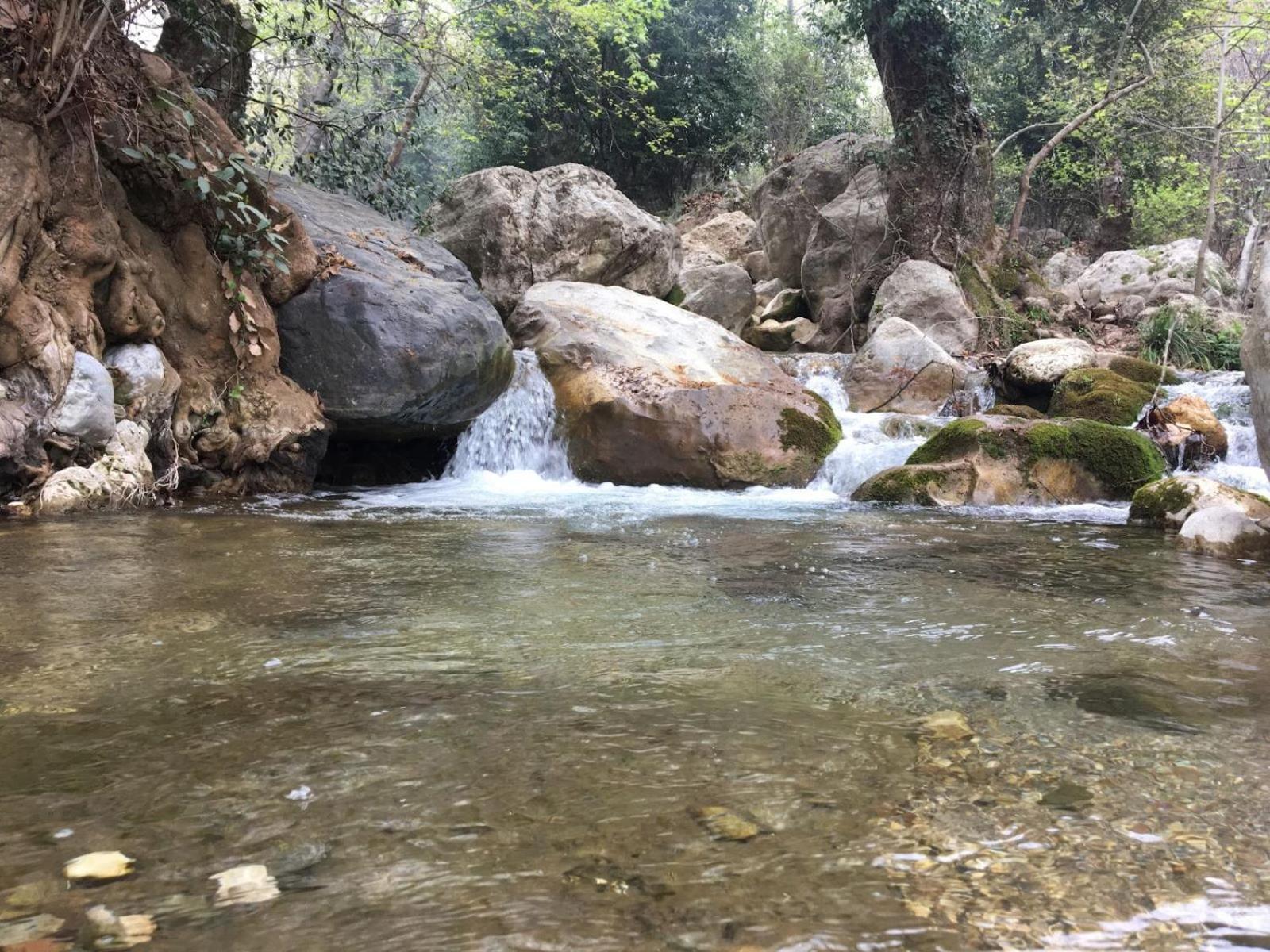 Demeter Rose Stonehouse Pansion Daire Antalya Dış mekan fotoğraf