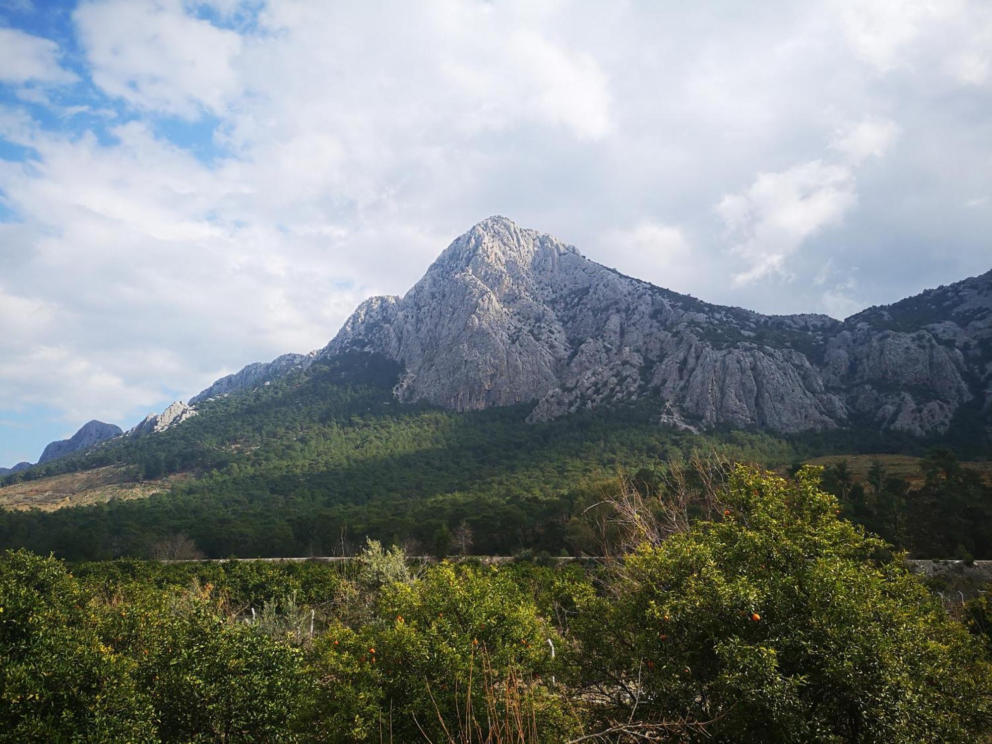 Demeter Rose Stonehouse Pansion Daire Antalya Dış mekan fotoğraf