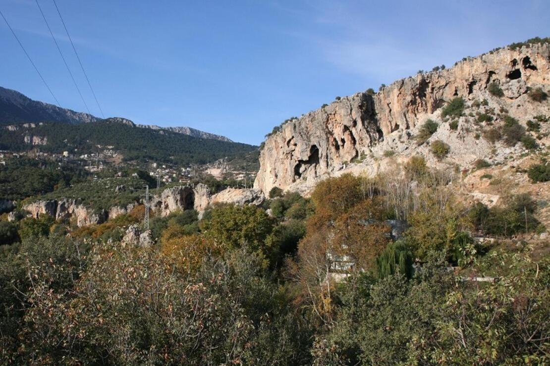 Demeter Rose Stonehouse Pansion Daire Antalya Dış mekan fotoğraf