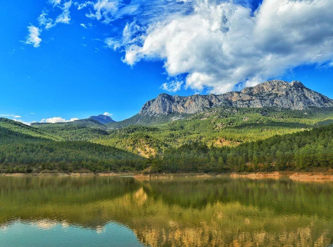 Demeter Rose Stonehouse Pansion Daire Antalya Dış mekan fotoğraf